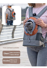 Load image into Gallery viewer, Carrier For Cat Bag Teddy Travel

